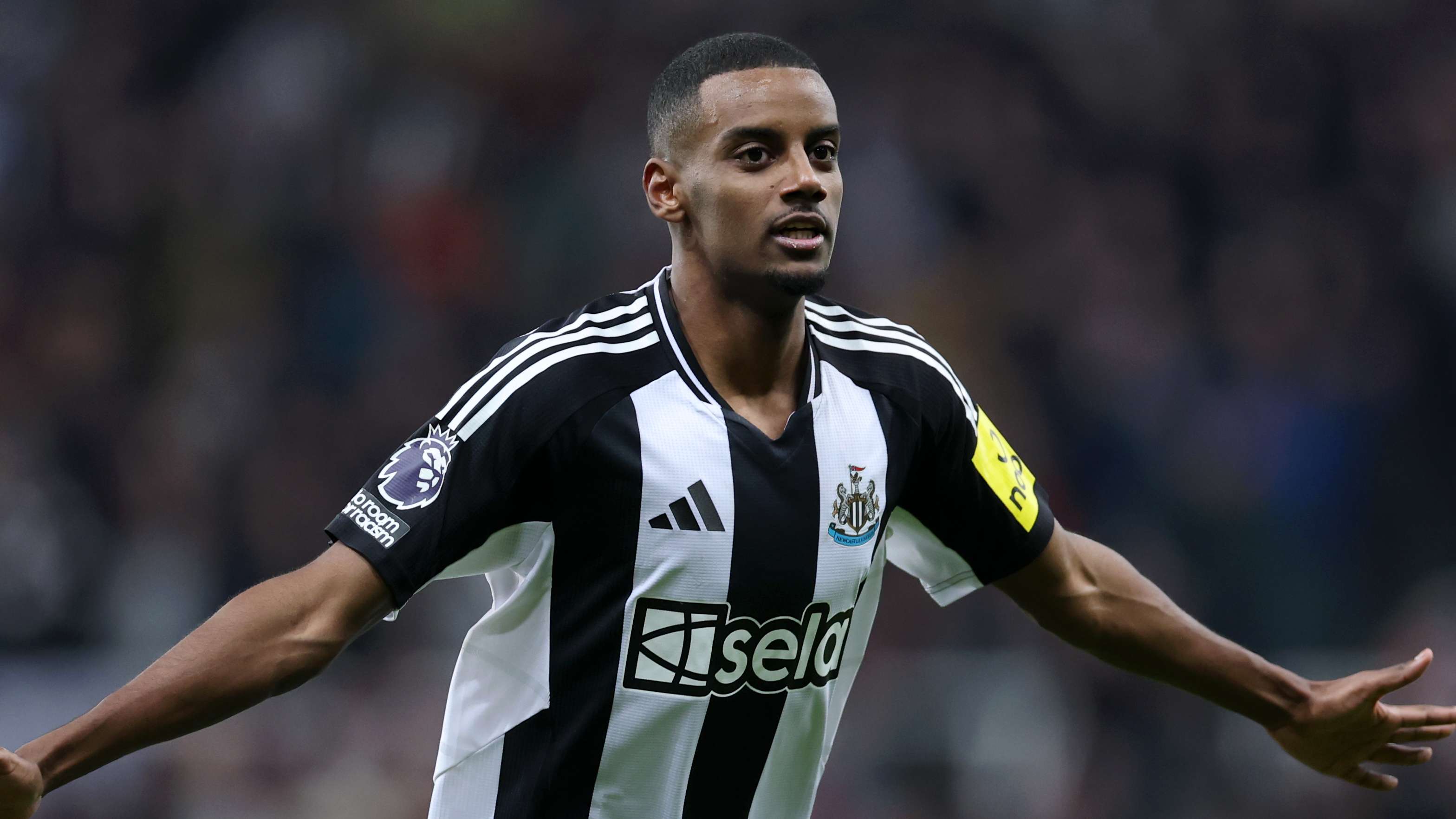 团队合作的 团队合作的